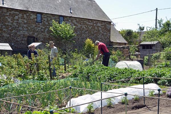 34. Church Allotments.jpg